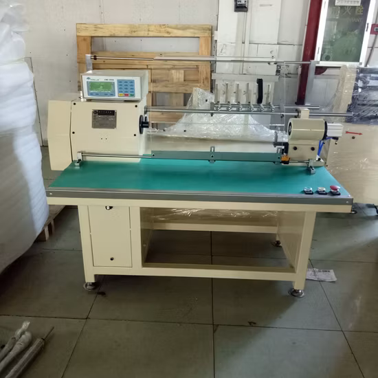 Bobineuse de stator (DLM