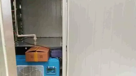 Système de culture hydropnique de germes de soja 200 kg/j